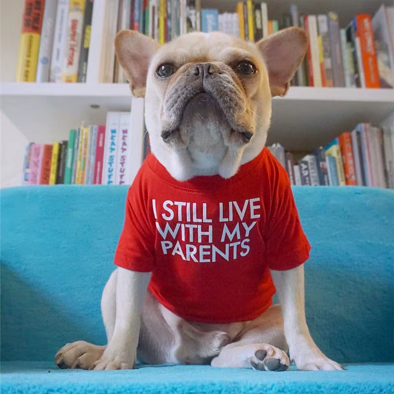 Letters Printed French Bulldog T-Shirt Cotton Dog Shirt Breathable Pet Apparel Puppy Sweatshirt Pibull Clothes for Small Dogs